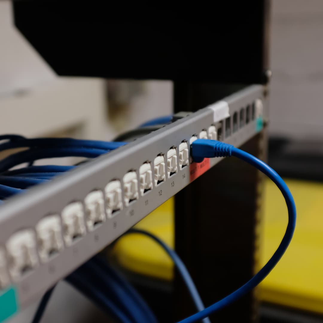 Câble réseau bleu branché dans le panneau de brassage du rack